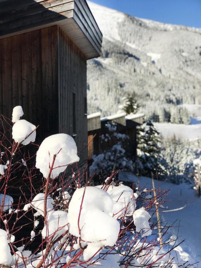 Chalet Sternwarte Hohentauern Exteriör bild