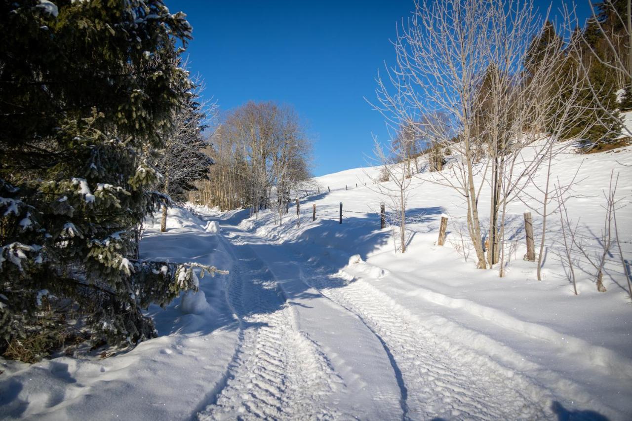 Chalet Sternwarte Hohentauern Exteriör bild